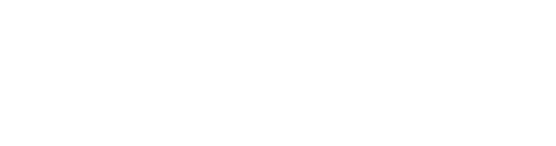 Accenture Logo