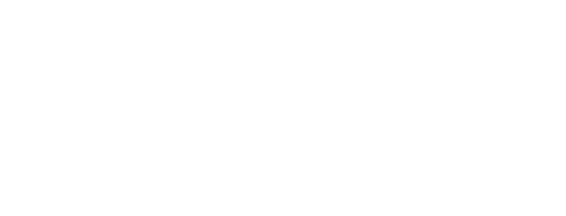 Firstsource Logo