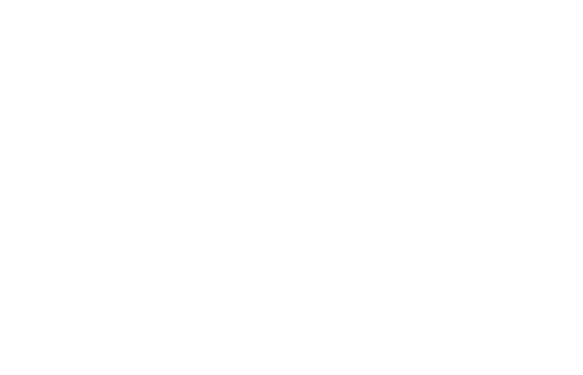 HDFC Life Logo